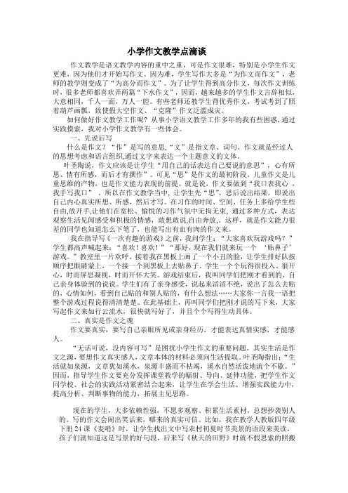 小学作文教学点滴谈