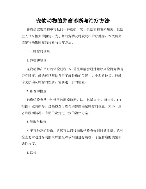 宠物动物的肿瘤诊断与治疗方法