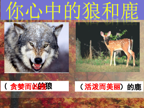鹿和狼的故事优秀课件
