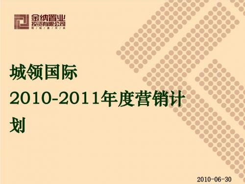城领国际2010-2011年度营销计划