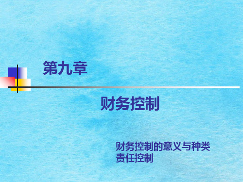 第九章财务控制ppt课件