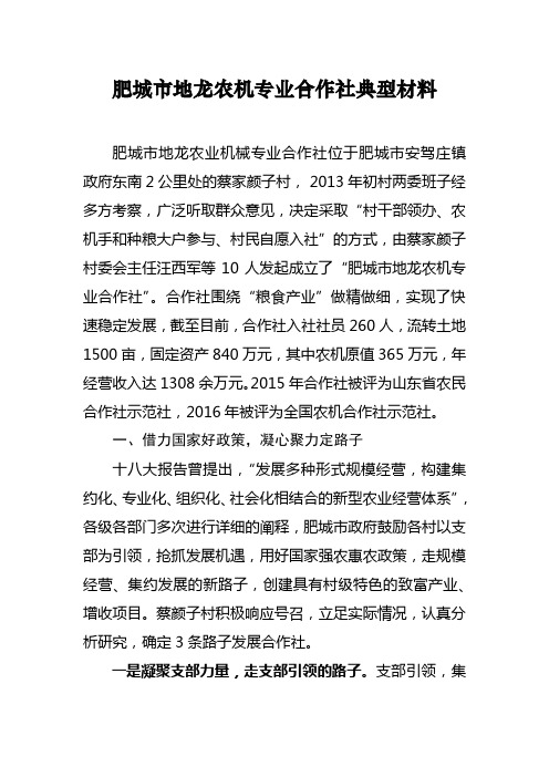 肥城市地龙农机专业合作社典型材料