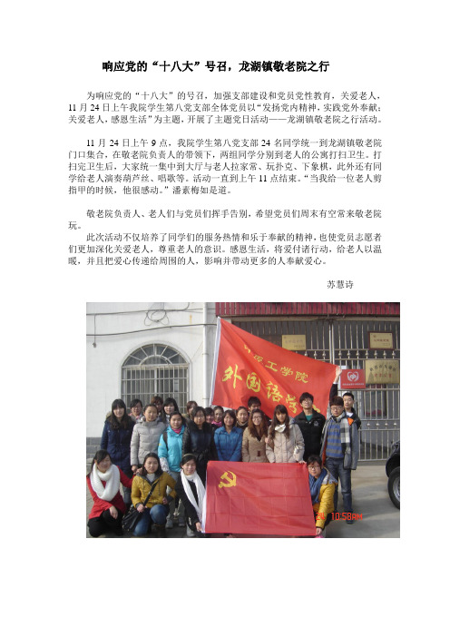 党团日活动新闻稿