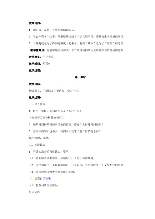 剪枝的学问第一课时