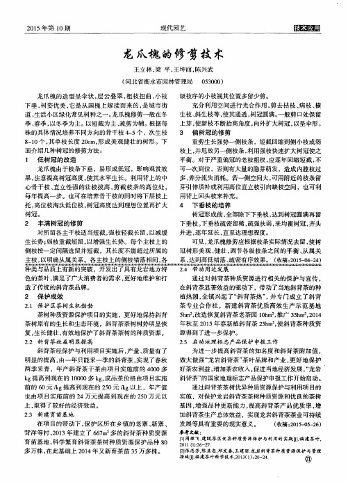 龙爪槐的修剪技术
