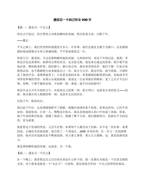 遇见另一个自己作文800字
