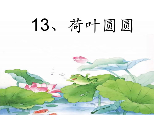 部编版语文一年级下册-课文(四)-课件-13 荷叶圆圆23