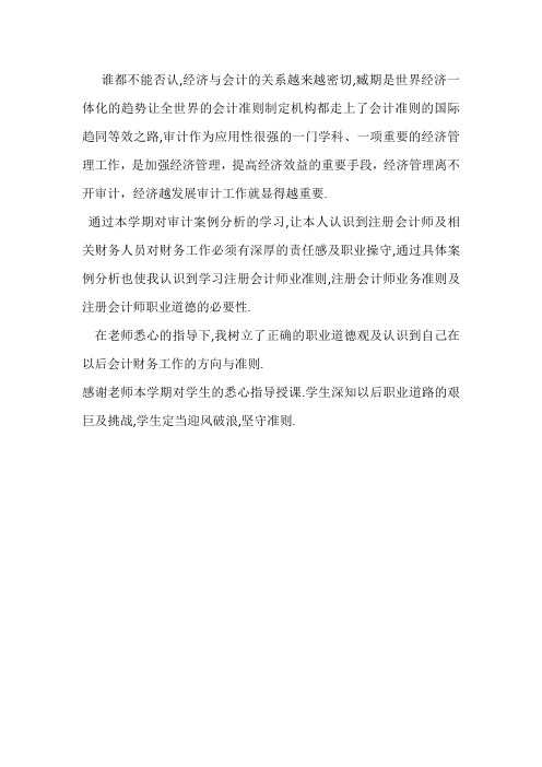 审计案例分析学习总结