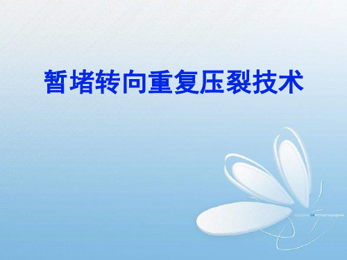 暂堵转向重复压裂技术(yida)