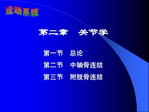 骨连接