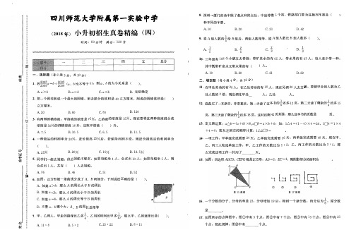 (2018年)四川师范大学附属第一实验中学小升初招生真卷精编(四)