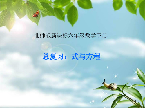 北师大版六年级数学下册《总复习-式与方程》