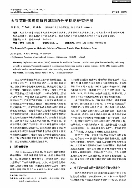 大豆花叶病毒病抗性基因的分子标记研究进展