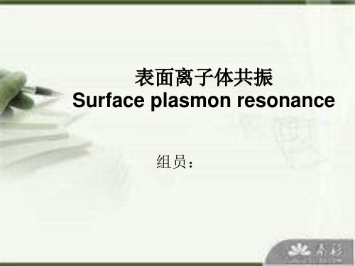 SPR技术简介