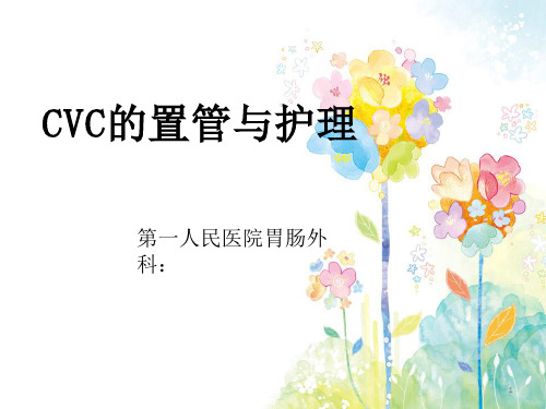 CVC置管与护理ppt课件