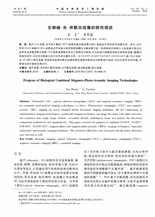 生物磁-光-声联合成像的研究现状