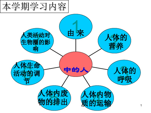 4011《人类的起源和发展》PPT课件