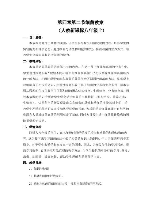 人教版八年级上第5单元第4章第2节细菌教案