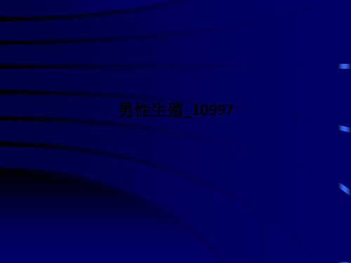 男性生殖10997PPT课件