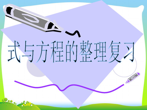 【最新】苏教版六年级数学下册《式与方程)总复习课件