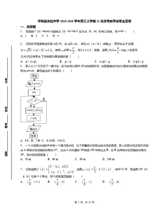 平阳县实验中学2018-2019学年高三上学期11月月考数学试卷含答案