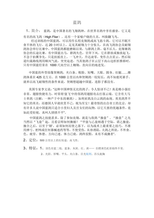 信鸽品种介绍