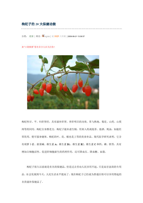 枸杞子的20大保健功能