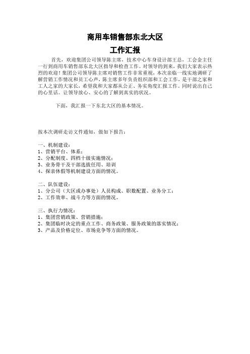 东北大区汇报