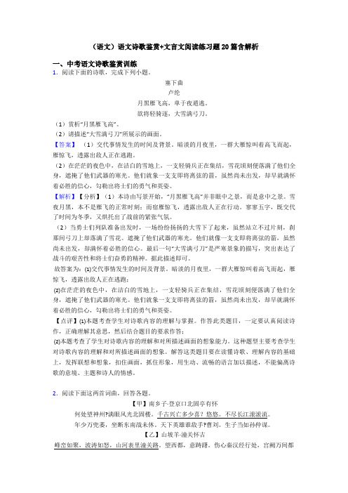 (语文)语文诗歌鉴赏+文言文阅读练习题20篇含解析