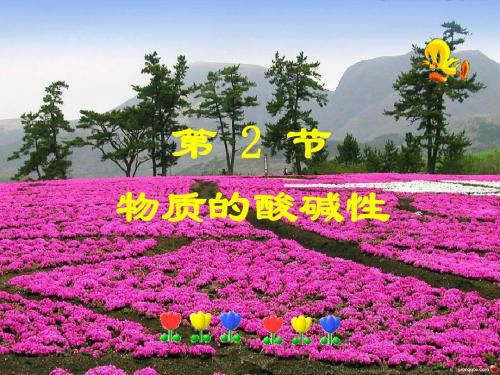 1-2物质的酸碱性