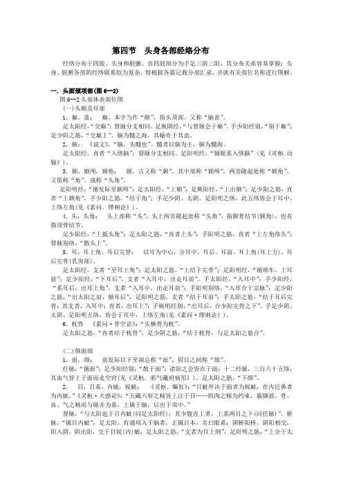 6.4 头身各部经络分布