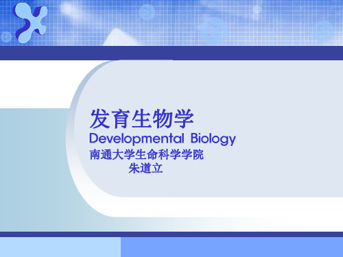 发育生物学(绪论)