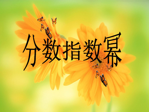 指数(分数指数幂)