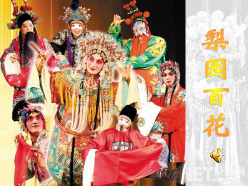 梨园百花.ppt
