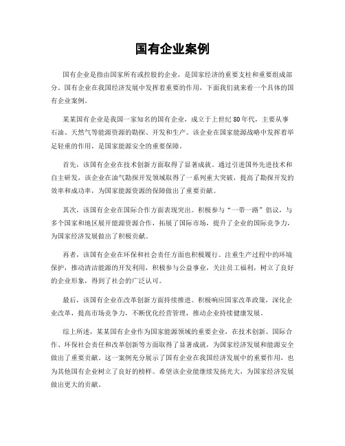 国有企业案例