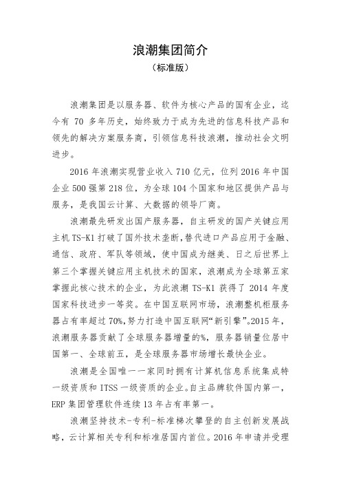 浪潮集团简介 标准版