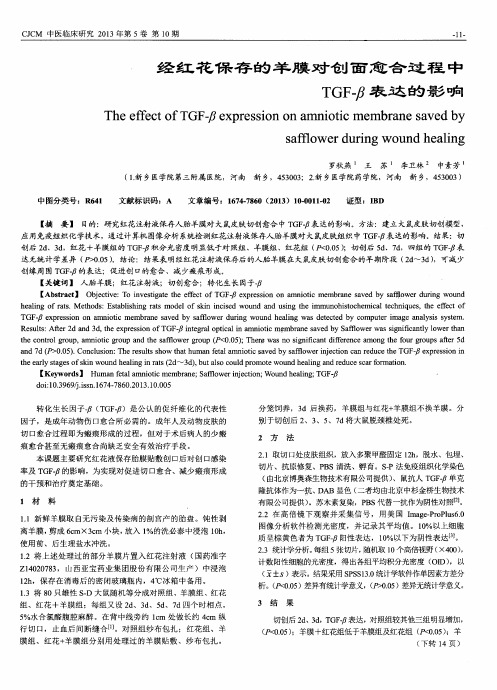 经红花保存的羊膜对创面愈合过程中TGF-β表达的影响