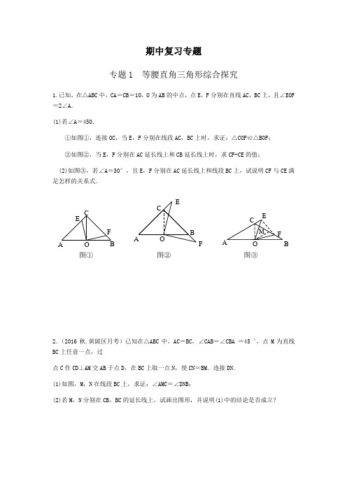 2018年八年级上学期数学期中复习专题(学生版)