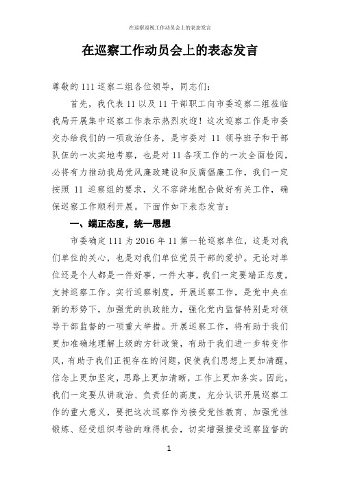 在巡察巡视工作动员会上的表态发言