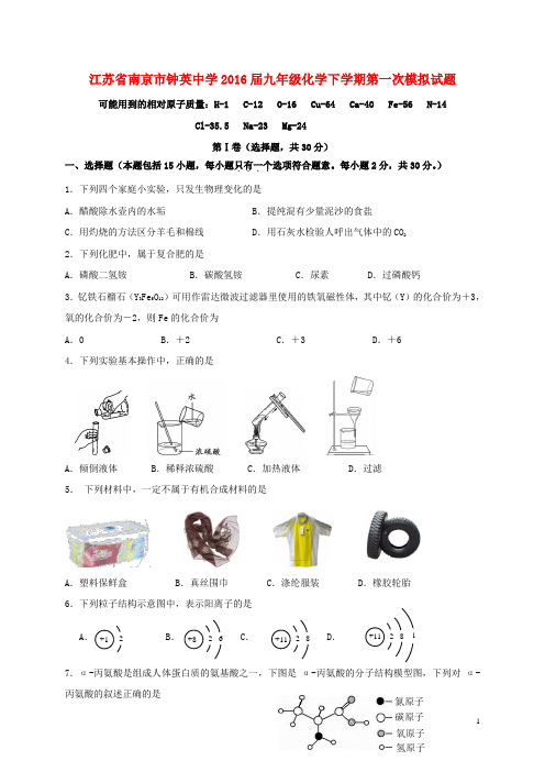 江苏省南京市钟英中学2016届九年级化学下学期第一次模拟试题