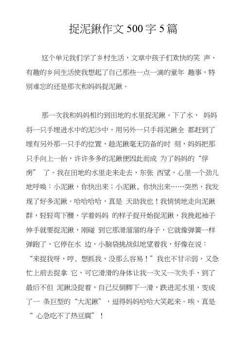 捉泥鳅作文500字5篇