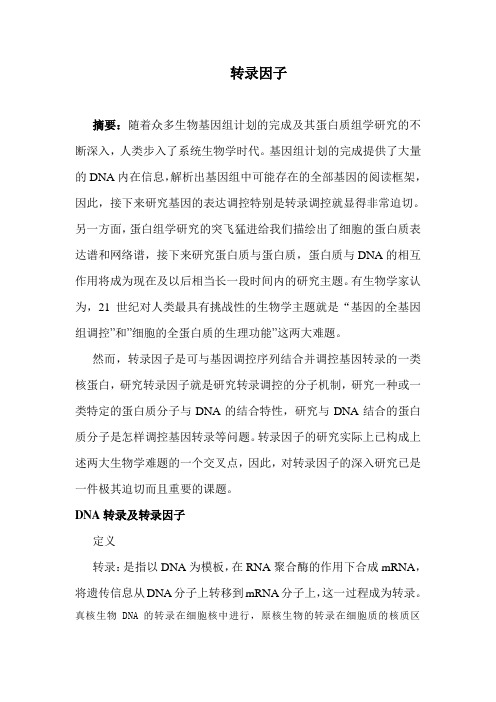 转录因子正文