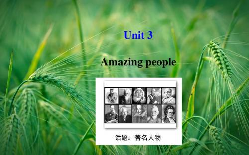 Unit 3 Amazing people课件 牛津译林版必修2课件