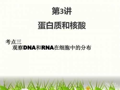 第3讲 蛋白质和核酸