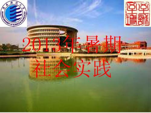 2013年暑期社会实践报告