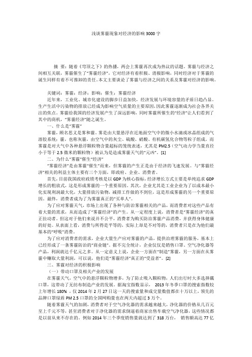 浅谈雾霾现象对经济的影响3000字