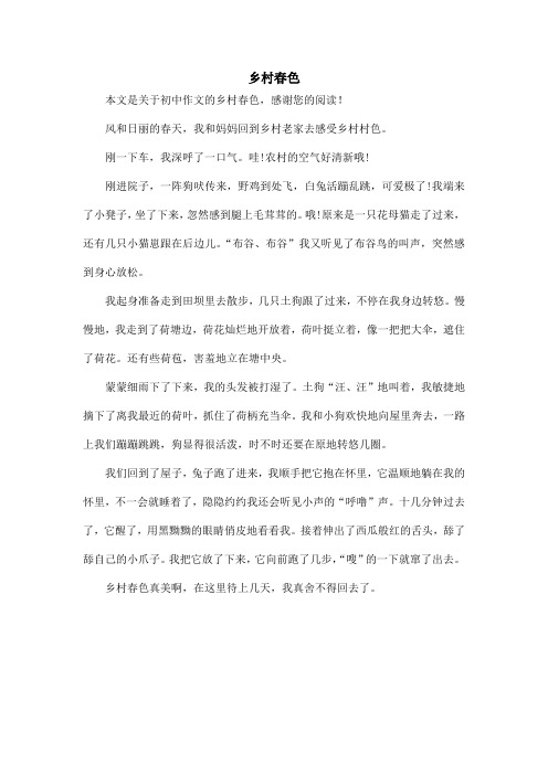 乡村春色_初中作文