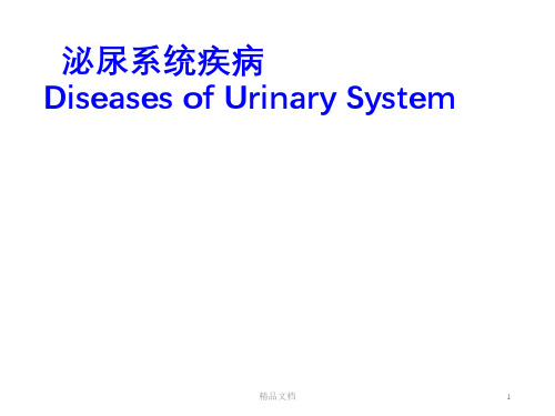 病理学泌尿系统疾病ppt课件