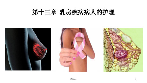 乳房疾病病人的护理