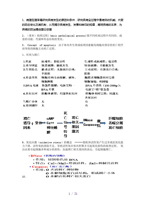 病理生理学 考博用